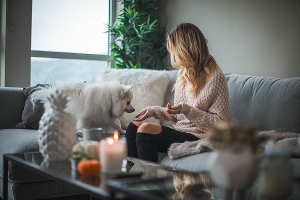 7 formas inteligentes de cuidar a tus mascotas